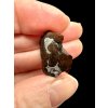 Meteorite Seymchan 4,2g / endcut – Magadan, Russia