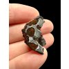 Meteorit Seymchan 6,2g / koncový řez – Magadan, Rusko