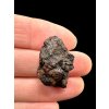 Meteorite Seymchan 5,1g / endcut – Magadan, Russia