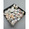 Moos agate – 30 pieces