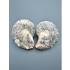 Ammonite (pair) 10,3cm and 10,3cm – Morocco