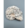 Ammonite 10,6cm – Morocco