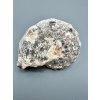 Amonit 10,4cm – Maroko