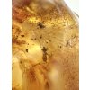 Insekten im jungen Bernstein (Kopal) 21,5g – Kolumbien