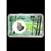 Meteorit Kaalijärv 1,6g – Saaremaa, Estonsko