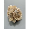 Gypsum – Velke Nemcice, CZ