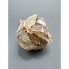 Gypsum – Velke Nemcice, CZ