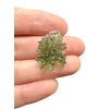 Silver moldavite pendant 2,3g from Besednice Jezkovna