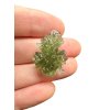 Silver moldavite pendant 2,8g from Besednice Jezkovna