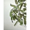 Moldavite jewellery 50 pcs