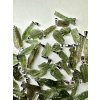 Moldavite jewellery 50 pcs