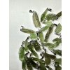 Moldavite jewellery 50 pcs