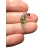 Moldavite jewellery 50 pcs