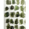 Moldavite – 50,8g