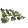 Moldavites – 50,8g