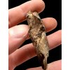 Meteorite Gebel Kamil 65,4g – Egypt