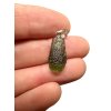 Silber Moldavit Anhänger 1,2g