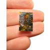 Meteorite Brahin 1,9g – Extra Quality – Belarus