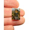 Meteorite Brahin 1,9g – Extra Quality – Belarus