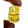 Amber with a drilled hole (polished) – Lithuania – 310g