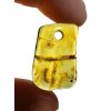 Amber with a drilled hole (polished) – Lithuania – 393g