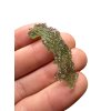 Moldavite – Maly Chlum – 2,6g