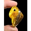 Amber with a drilled hole (polished) – Lithuania – 255g