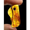 Amber with a drilled hole (polished) – Lithuania – 165g