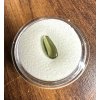 Tumbled moldavite 0,84ct