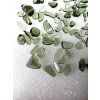 Tumbled moldavites 40ct