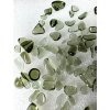 Getrommelte Moldavite 40ct