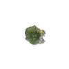 Silver moldavite ring with gold-plated elements 7,7g