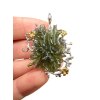 Silber Moldavit Anhänger mit vergoldeten Elementen 12,8g