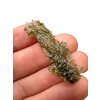 Moldavite – Olesnice – 2,3g / Angel Chime