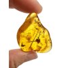 Insects in amber – Lithuania – 7,1g