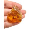 Insects in amber – Lithuania – 7,1g
