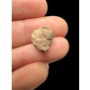 Lunar meteorite Bechar 007 – 0,8g – Algeria
