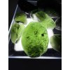 Moldavite – 189g