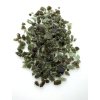 Moldavite – 100g