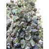 Moldavites – 200g