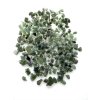 Moldavite – 100g (0-1g)