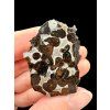 Meteorit Pallasit Sericho 27,1g / koncový řez – Keňa