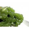 Pyromorphite – Yangshuo Guilin – Guangxi, China