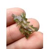 Moldavite – Besednice Jezkovna – 0,6g