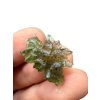 Moldavite – Besednice Jezkovna – 1,9g