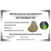 Mondmeteorit Ash Shaqqah 002 – 1g – Libyen