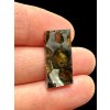 Meteorit Pallasit Brahin 2,7g – Extra Qualität – Belarus