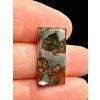 Meteorite Pallasit Brahin 2,1g – Extra Quality – Belarus