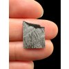 Meteorite Turgut 1,3g – Turkey