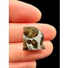 Meteorit Pallasit Pallasovka 2,3g – Russland